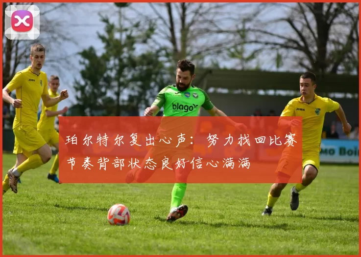 珀尔特尔复出心声：努力找回比赛节奏背部状态良好信心满满