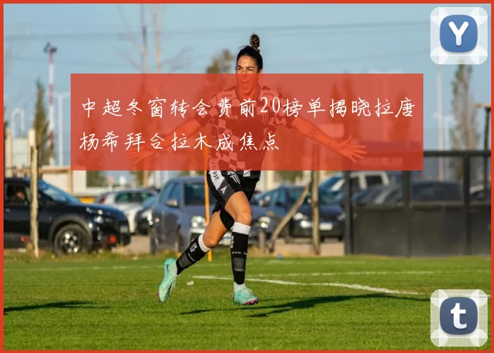 中超冬窗转会费前20榜单揭晓拉唐杨希拜合拉木成焦点