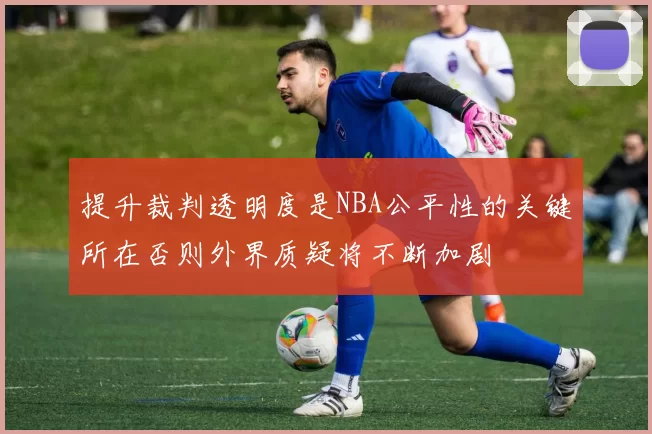 提升裁判透明度是NBA公平性的关键所在否则外界质疑将不断加剧